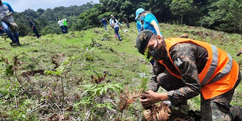 Soldado reforesta área.