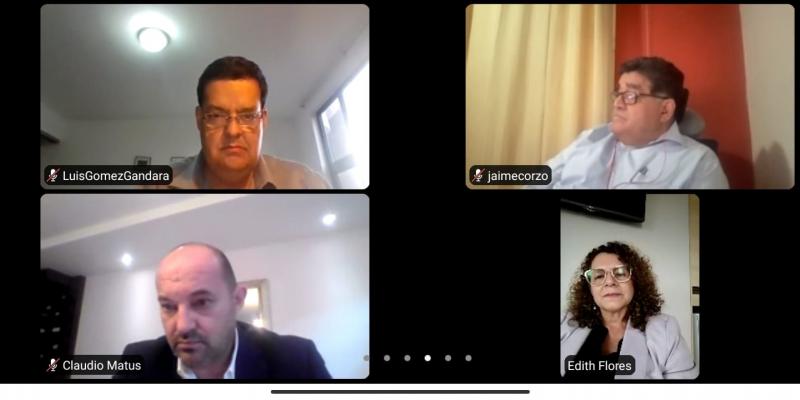 La Viceminsitra de Integración y Comercio Exterior, Edith de Molina, durante su participación en la reunión virtual con representantes de CAMEX.