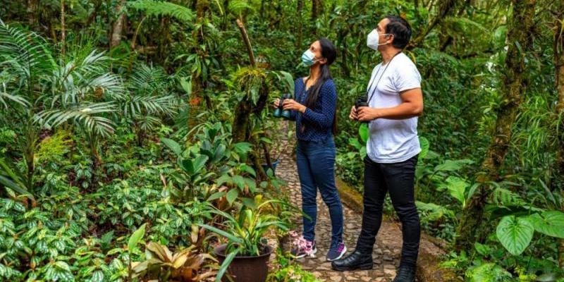 Avistamiento de aves