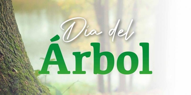 arboles, bosque
