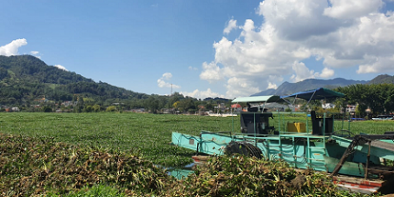 Limpieza de la Laguna Chichoj