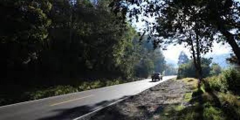 Conferencia de Prensa