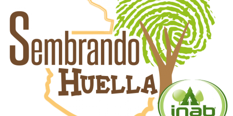 Programa de educación forestal y reforestación Sembrando Huella 