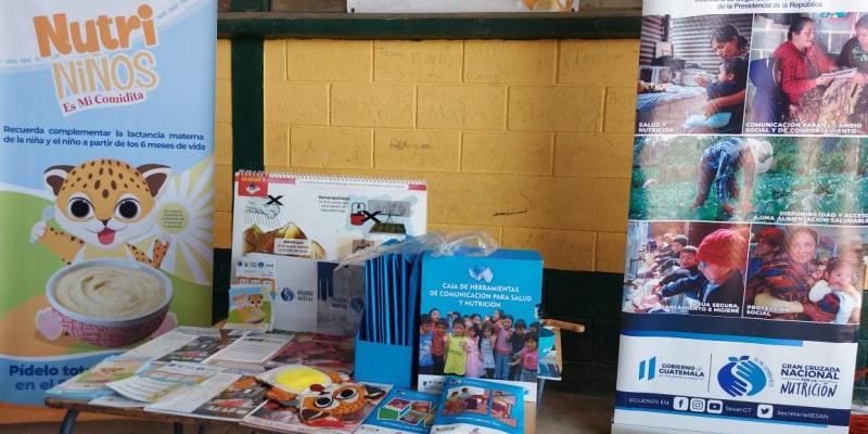 Alimento complementario fortificado