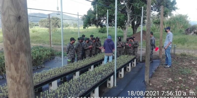 Capacitación de viveros forestales