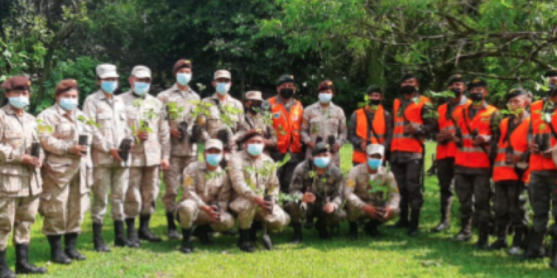 Ejército de Guatemala apoya jornada de reforestación en Suchitepéquez
