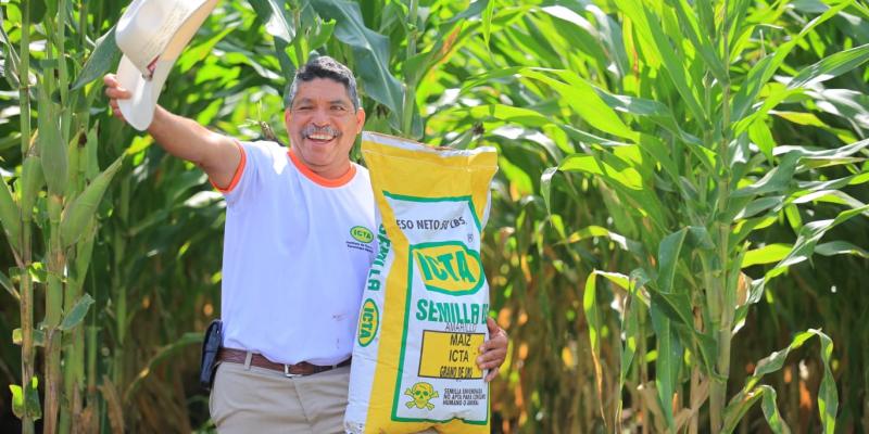 Guatemala cuenta con una nueva variedad de maíz 