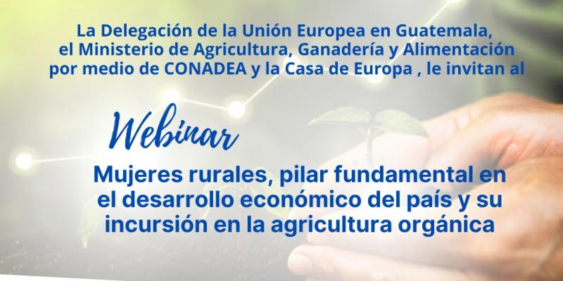 Invitados al Webinar