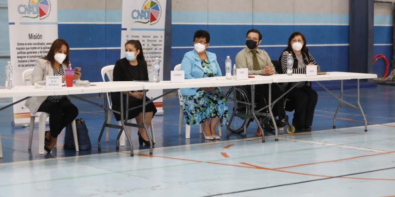 Presentación del proyecto Vida Independiente. 