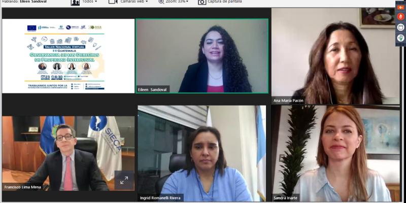 El Primer Taller Nacional Sobre la Observancia de los Derechos de Propiedad  Intelectual se llevó a cabo en un formato virtual.