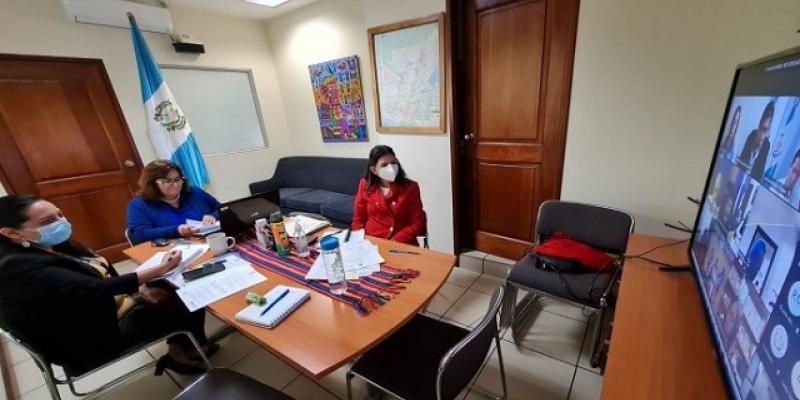 Conversatorio virtual sobre migración, desde el Minex