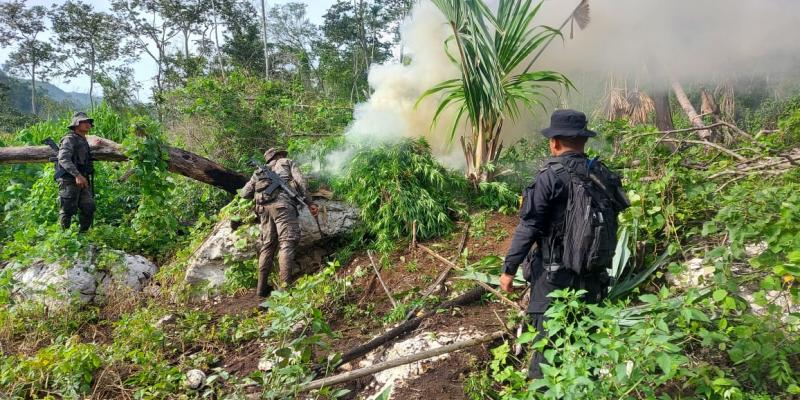 Soldados del Ejército de Guatemala, apoyaron la erradicación de una plantación de marihuana