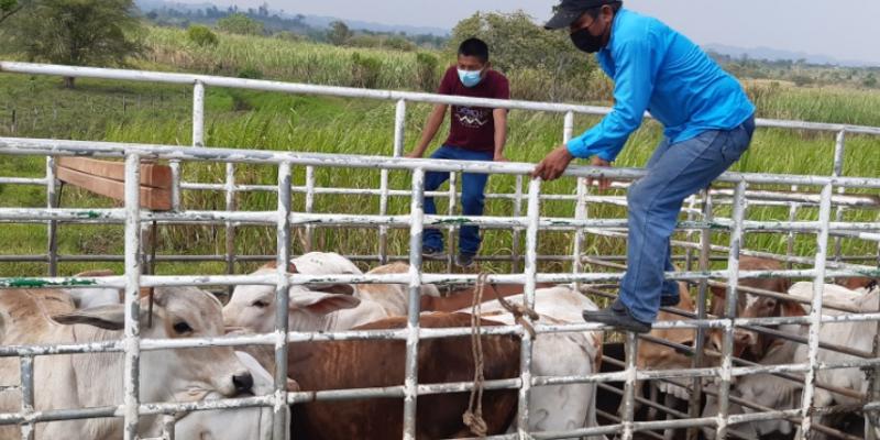 E.C.A. reinvierte fondos del Capital de Trabajo