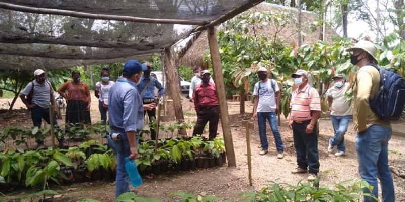 Presentación de Proyecto “Manejo de Bosques Naturales con fines de producción” aprobado el título