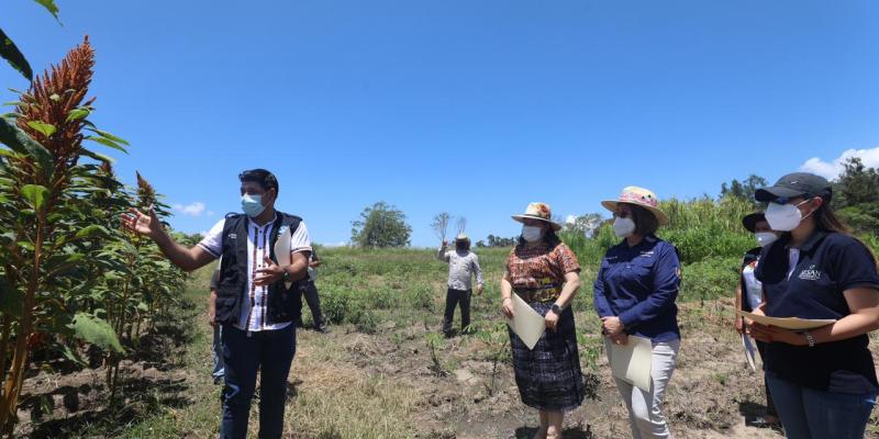 Secretaría de Seguridad Alimentaria y Nutricional 