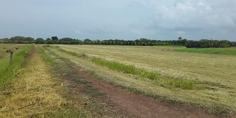 Comunidad Mam Cajola ejecutará el Subproyecto de Establecimiento de Plantaciones Forestales