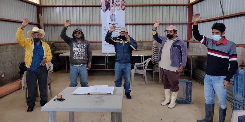 Campesinos resguardarán el bosque 