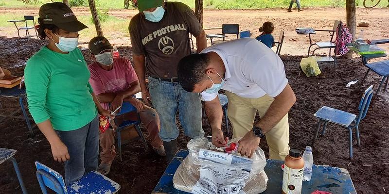 Comunidad Brisas del Mar ha iniciado la siembra de Ajonjolí
