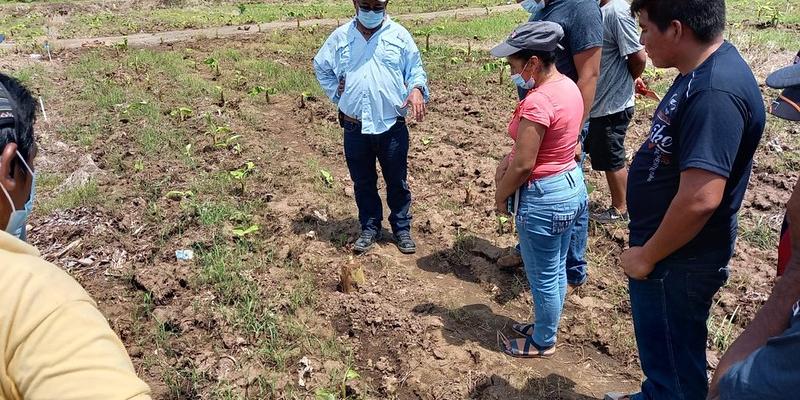 Comunidades Campesinas Intercambian Experiencias