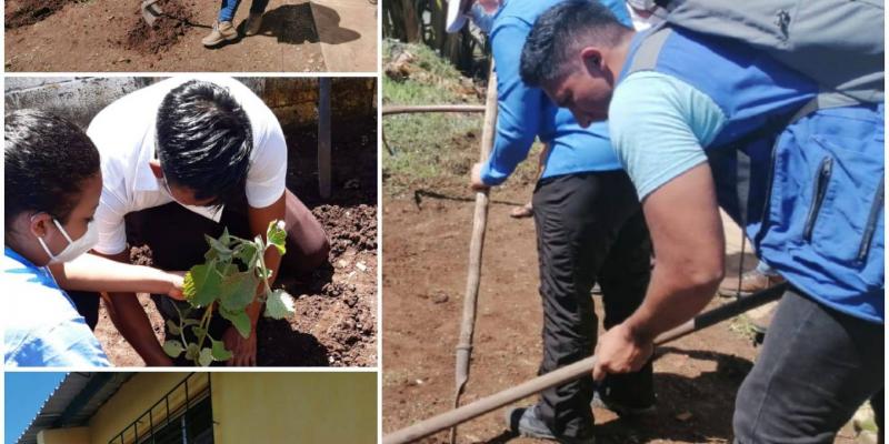 Personal de Mides y Comusan trabajando huerto medicinal en Santa Lucía Cotzumalguapa