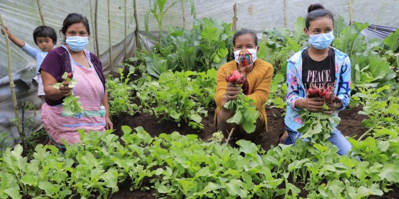 Una nueva oportunidad para producir alimentos 