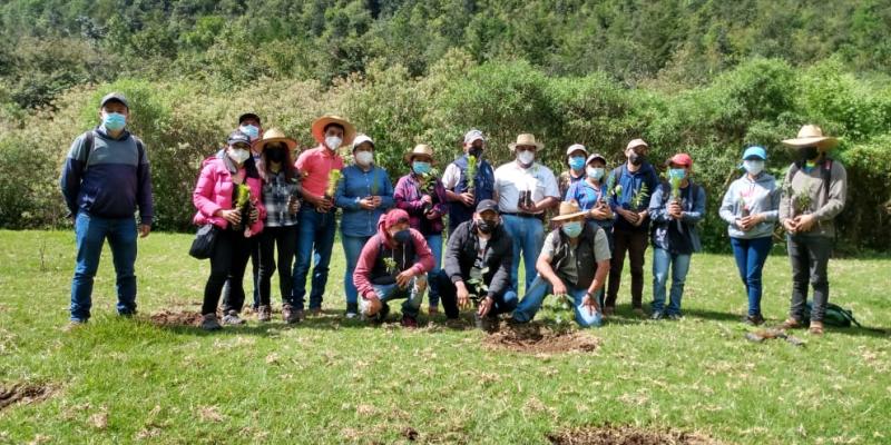 Jornada de reforestación en Chimaltenango.