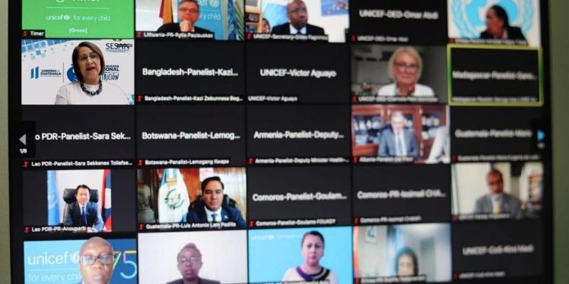 Secretaría de Seguridad Alimentaria y Nutricional 