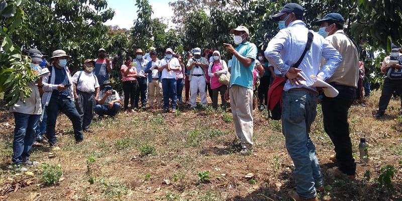 Beneficiarios participan en  intercambio de experiencias en Finca El Zunzal