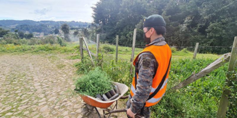 Brigada de Operaciones de Montaña apoyan jornada de reforestación