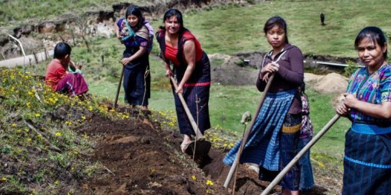Secretaría de Seguridad Alimentaria y Nutricional 