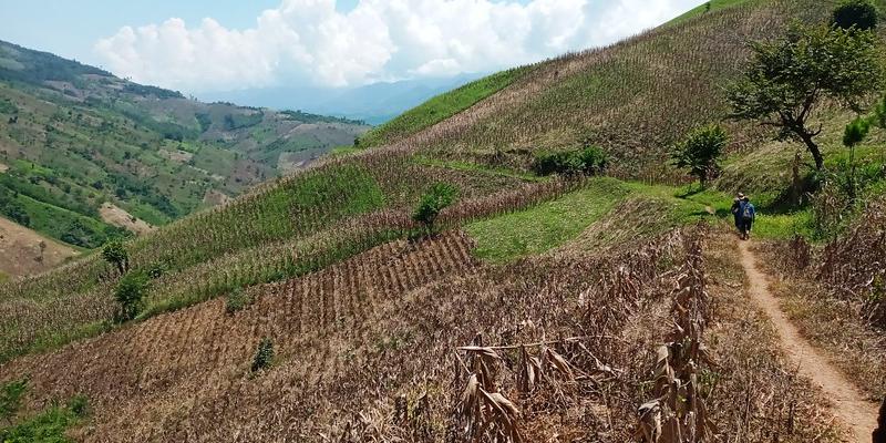 Personal de FONTIERRAS realiza verificaciones