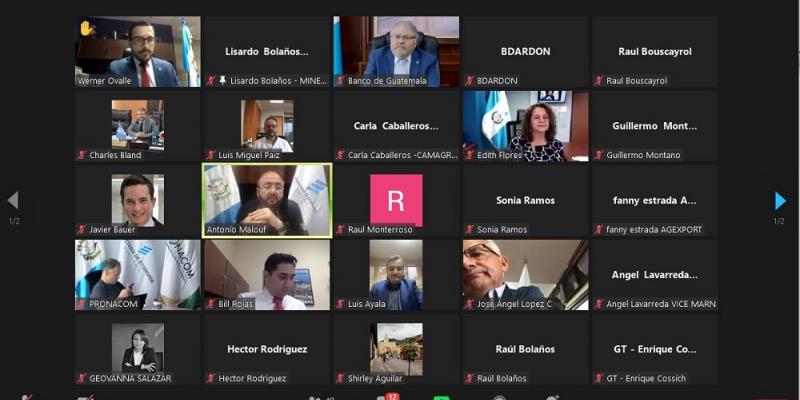 La quinta reunión de CONAPEX se llevó a cabo en un formato virtual.