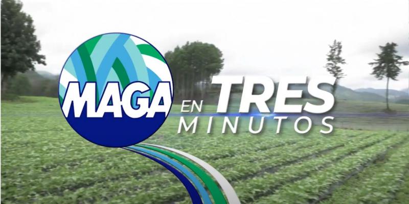 Emisión 24 de septiembre de 2021. 