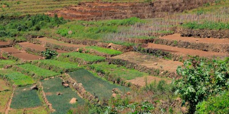 MAGA supervisará avances de proyectos productivos en Sololá