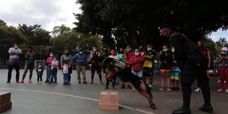 Aplausos y sonrisas en demostración K-9
