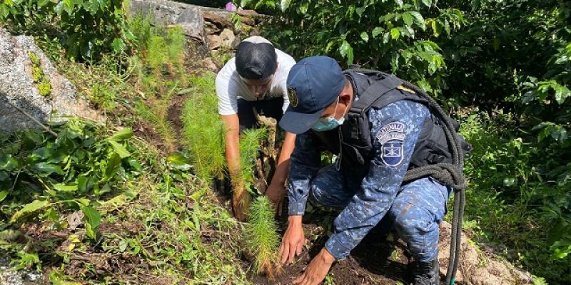 Ejército de Guatemala apoya reforestación en San Pedro la Laguna, Sololá