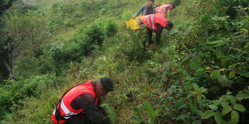Ejército de Guatemala apoya reforestación de reserva “Trifinio Fraternidad”