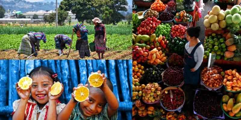 Secretaría de Seguridad Alimentaria y Nutricional 