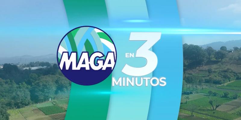 MAGA en Tres Minutos 