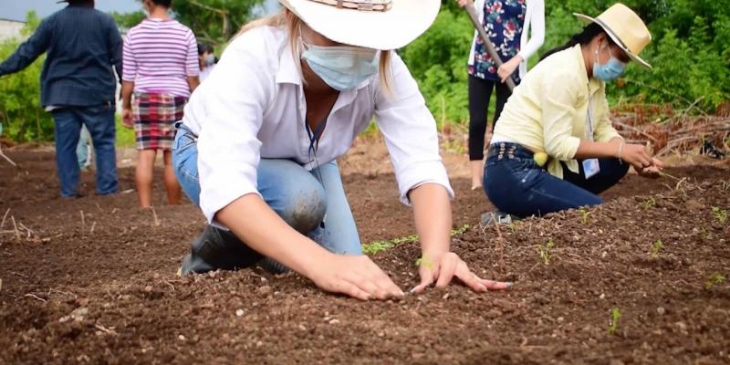 MAGA aporta asistencia técnica para la elaboración de huertos familiares