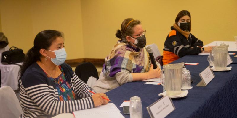 Secretaria Presidencial de la Mujer, Ana Leticia Aguilar Theissen. 