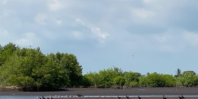 Parque Nacional Sipacate Naranjo.