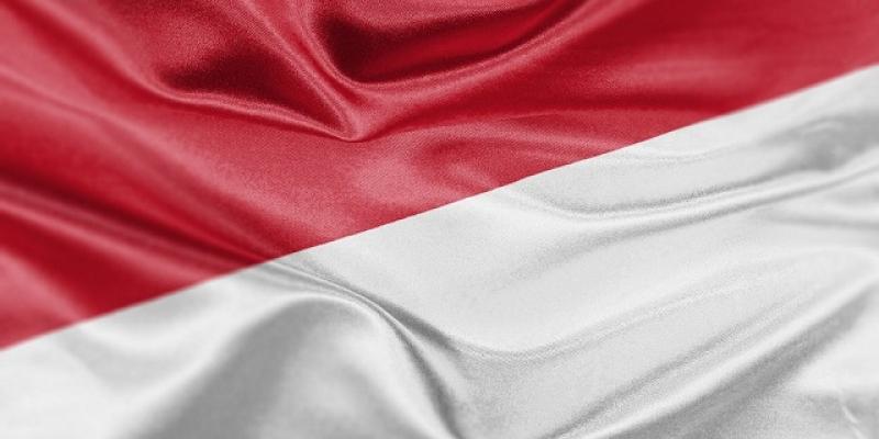Bandera de Indonesia