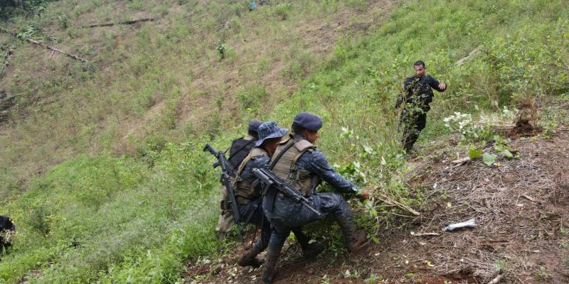 Erradicación de hojas de coca en Izabal.