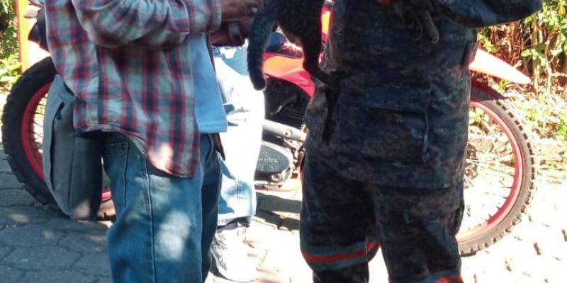 Ejército de Guatemala apoya vacunación antirrábica en Suchitepéquez