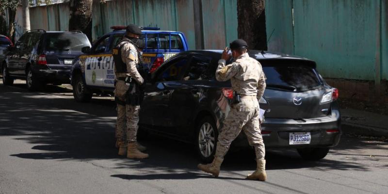 Operativos de DIPRONA buscan proteger y conservar el Pinabete