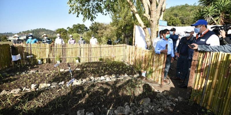 presidente Giammmattei