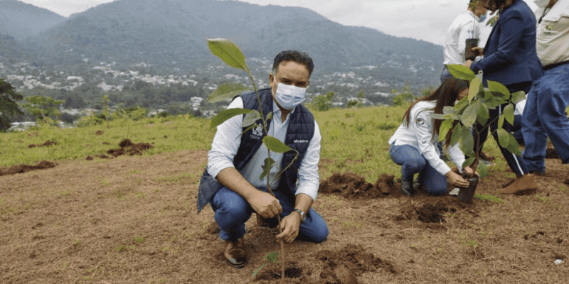 Programa de reforestación del MARN contribuye a la conservación ambiental