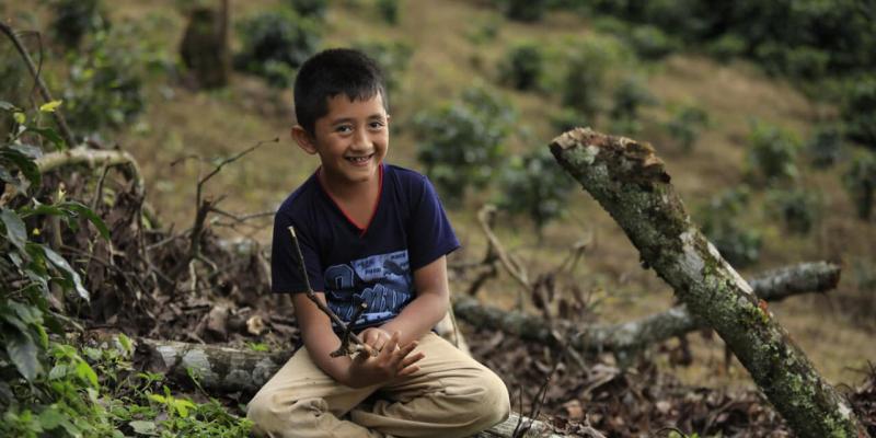 Secretaría de Seguridad Alimentaria y Nutricional 