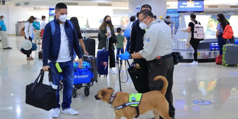 Refuerzan controles y vigilancia para garantizar la sanidad agropecuaria 